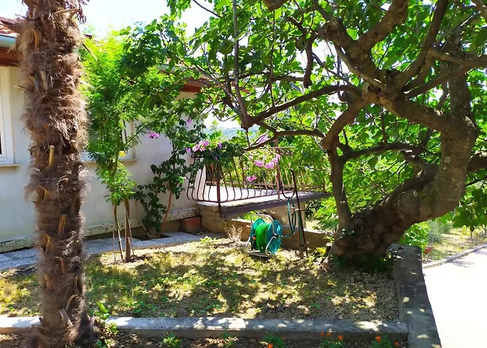 Lili House