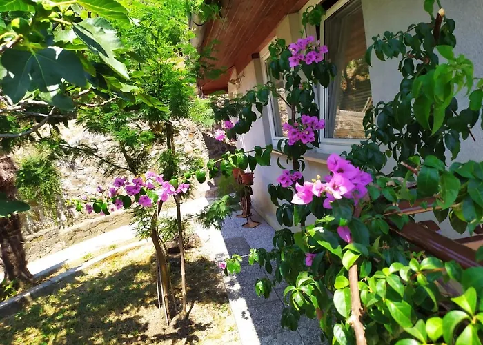 Lili House